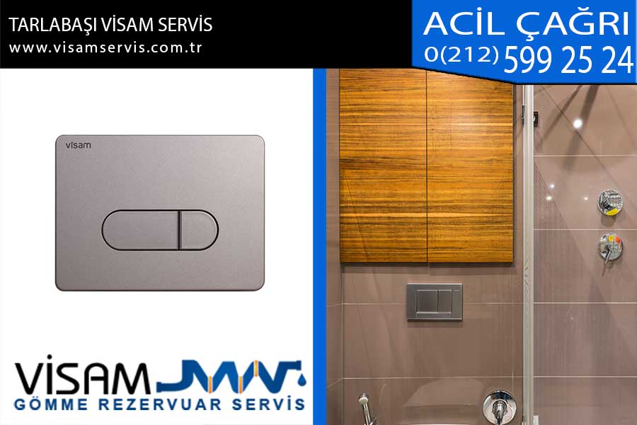 tarlabaşı visam servis
