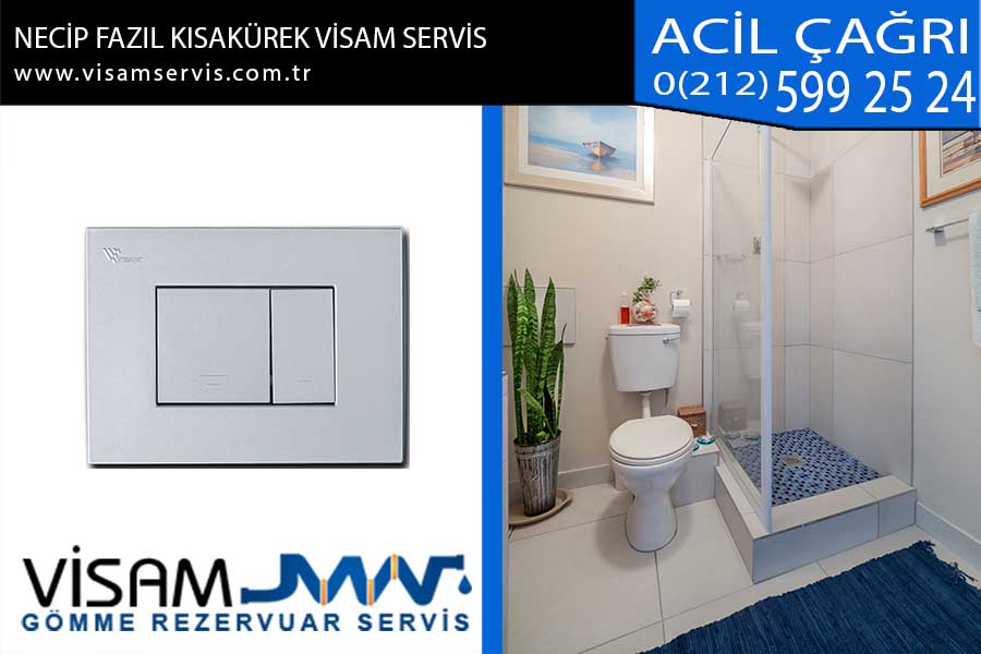 necip fazıl kısakürek visam servis